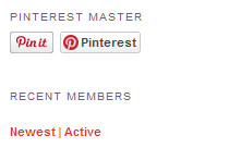 Pinterest Master Widget showing Pin It & Follow Buttons